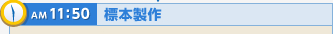AM11:50 標本製作