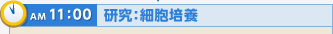 AM11：00 研究：細胞培養
