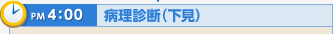 PM4:00 病理診断（下見）