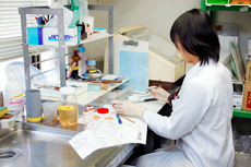 外科材料切り出し