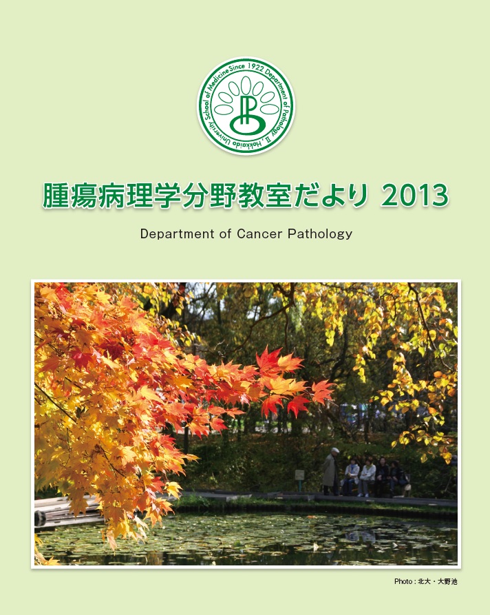 教室だより2013 表紙